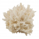 mesolite