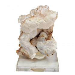 Opale hyalite sur calcédoine