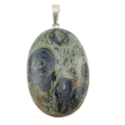 pendant kambaba jasper silver