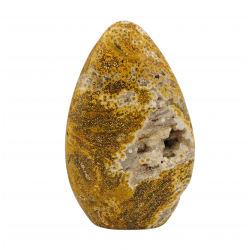 Ocean Jasper Free Form