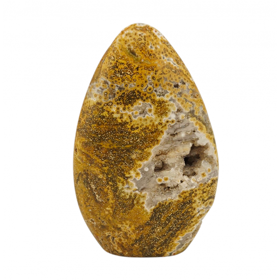 Ocean Jasper Free Form