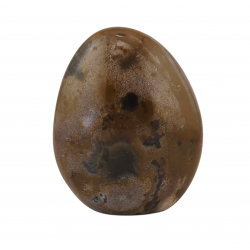 Ocean Jasper Free Form