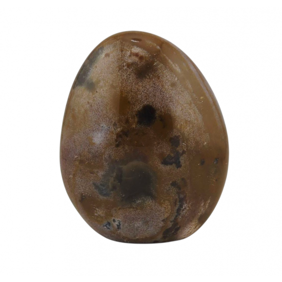 Ocean Jasper Free Form