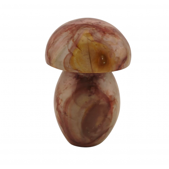 mushroom polychrome jasper