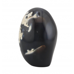 Orca Agate Free Form