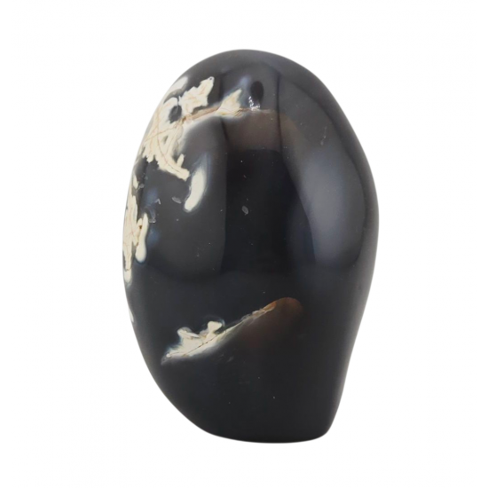 Orca Agate Free Form