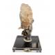 Hyalite opal on chalcedony