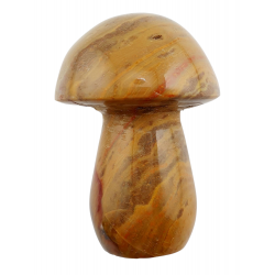 Champignon jaspe