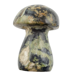 Champignon jaspe kambaba 