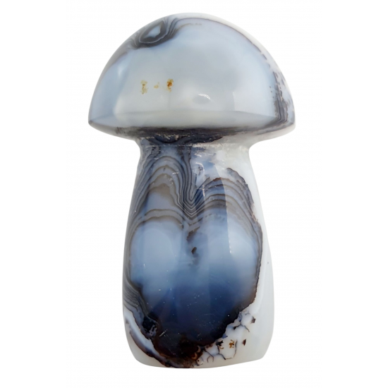mushroom agate