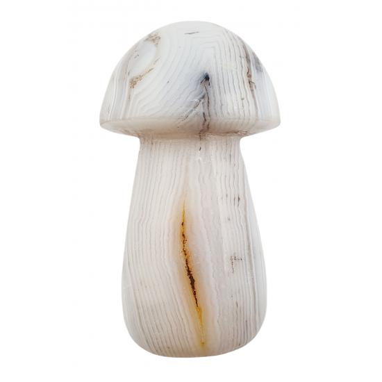 mushroom agate