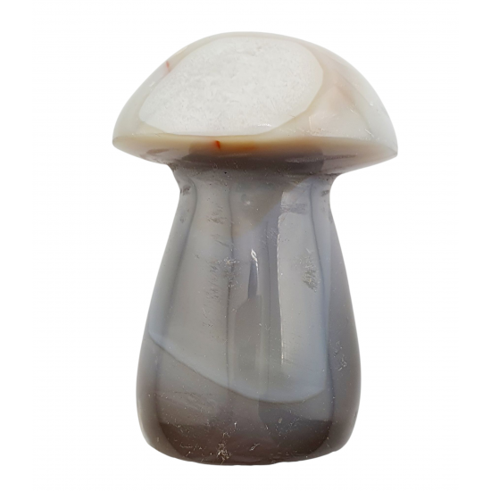 mushroom agate
