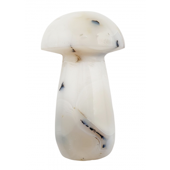 mushroom agate