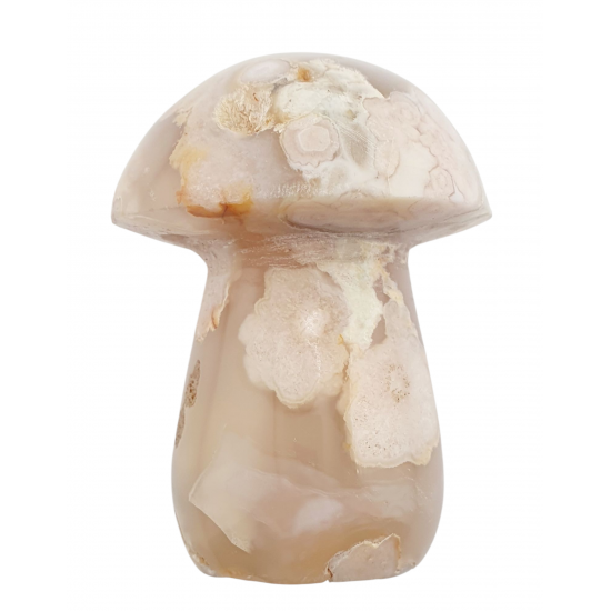 mushroom flower agate