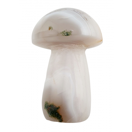 mushroom agate