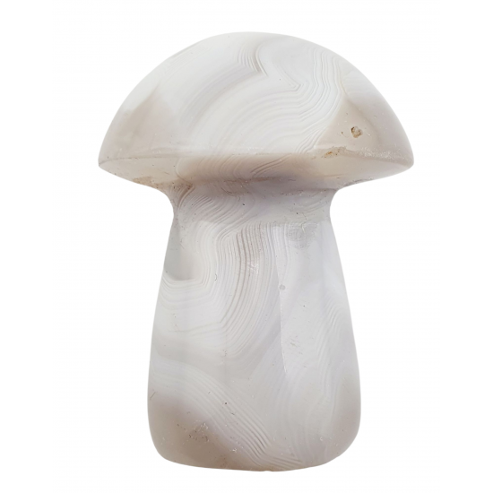 mushroom agate