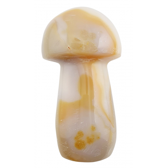 mushroom agate