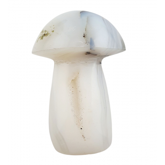 mushroom agate