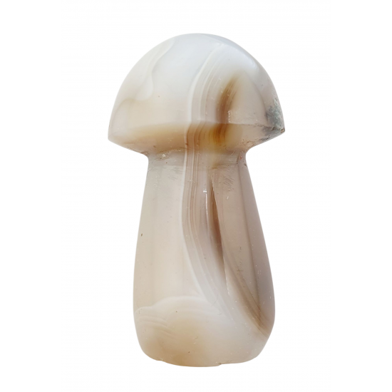 mushroom agate mushroom agate
