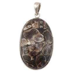 pendant fossil turritella agate silver