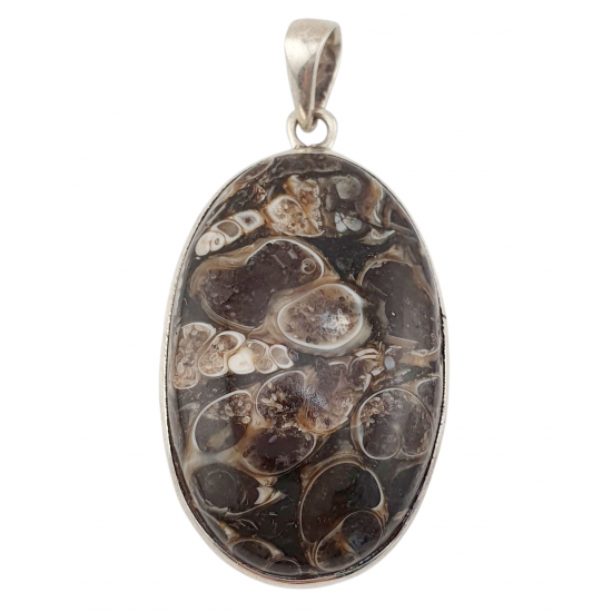 pendant fossil turritella agate silver