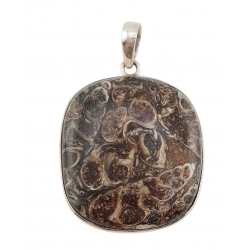 pendant fossil turritella agate silver