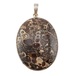 pendant fossil turritella agate silver