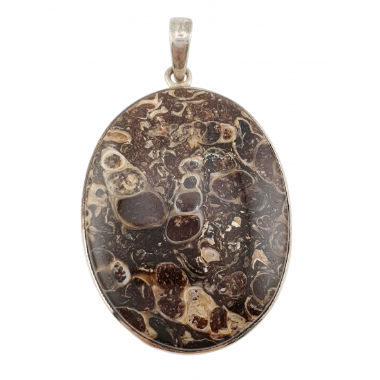 pendant fossil turritella agate silver