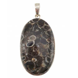 pendant fossil turritella agate silver