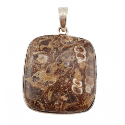 pendant fossil turritella agate silver