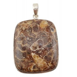 pendant fossil turritella agate silver