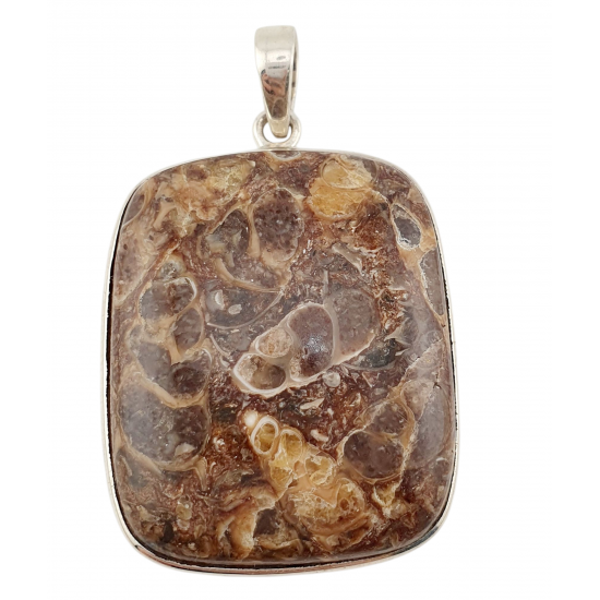 pendant fossil turritella agate silver