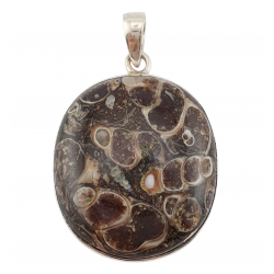 pendant fossil turritella agate silver