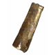baculites scotti