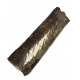 baculites scotti