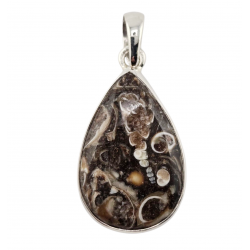 pendant fossil turritella agate silver