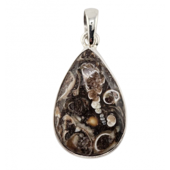 pendant fossil turritella agate silver