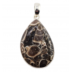 pendant fossil turritella agate silver