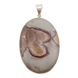 Rhyolite jasper Pendant silver