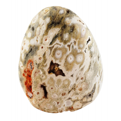 Ocean Jasper Free Form