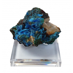 chalcanthite and malachite