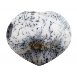 Opal dendrites heart
