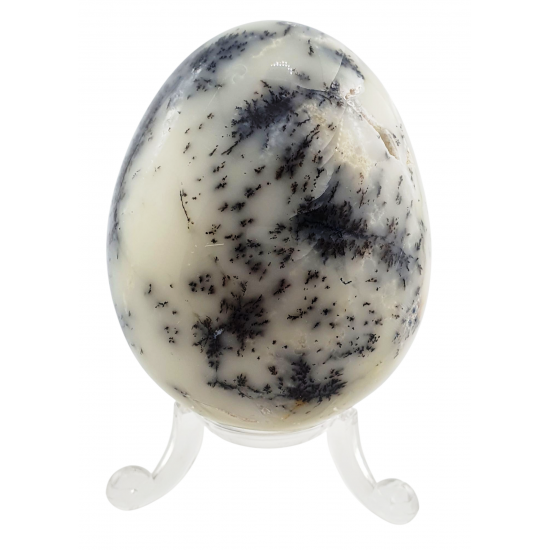 dendrit opal egg