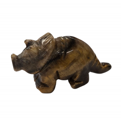 Dinosaur Triceratops tiger eye