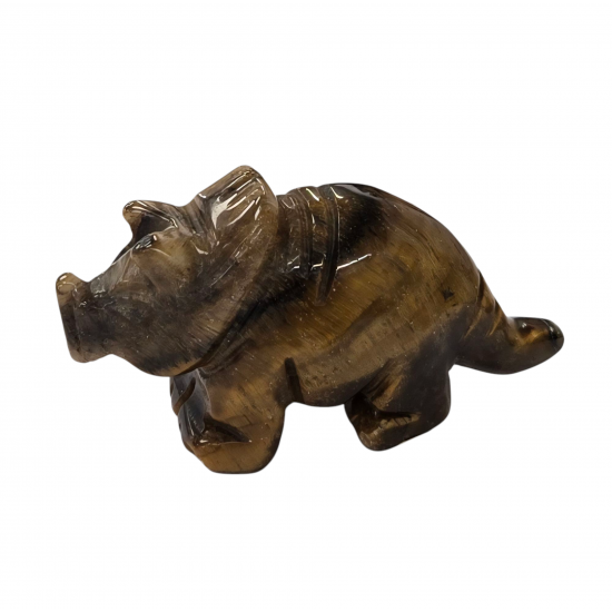 Dinosaur Triceratops tiger eye
