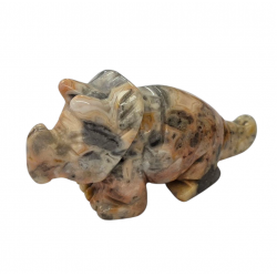 Dinosaur Triceratops crazy lace agate