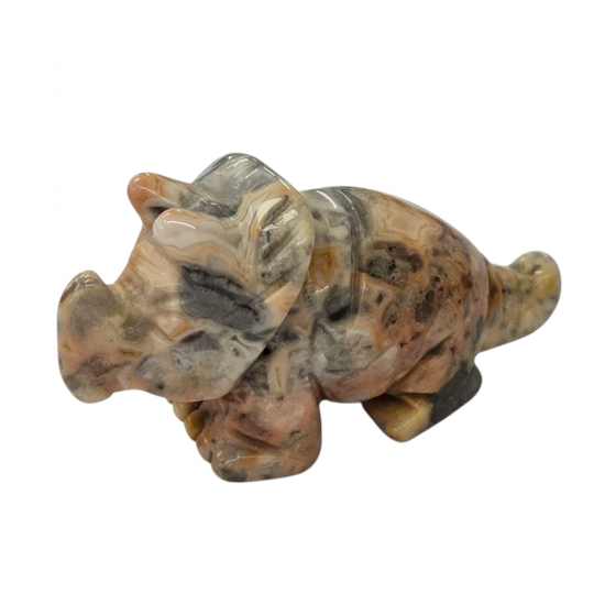 Dinosaur Triceratops crazy lace agate