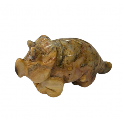 Dinosaur Triceratops crazy lace agate
