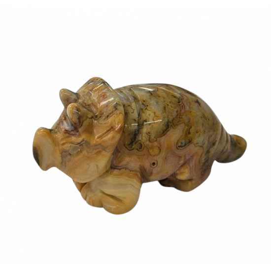 Dinosaur Triceratops crazy lace agate