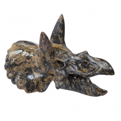 Triceratops crane jaspe